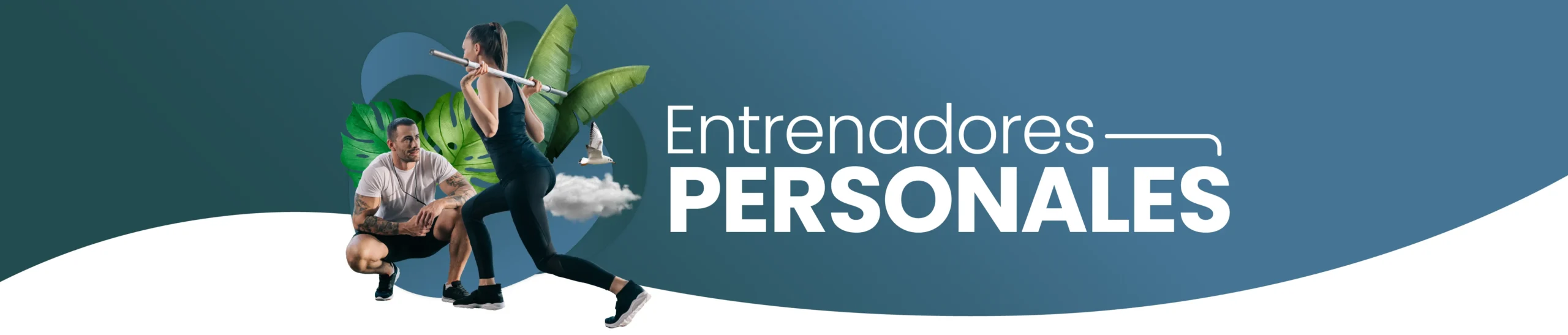 Entrenadores Personales en Miami