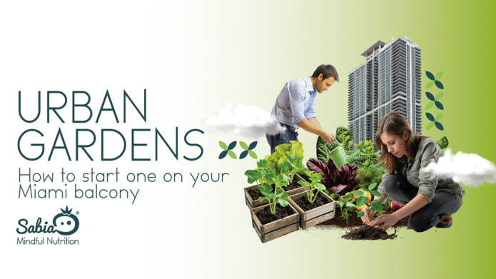 Urban Gardens: How to start one on your Miami balcony
