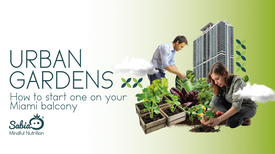 Urban Gardens: How to start one on your Miami balcony