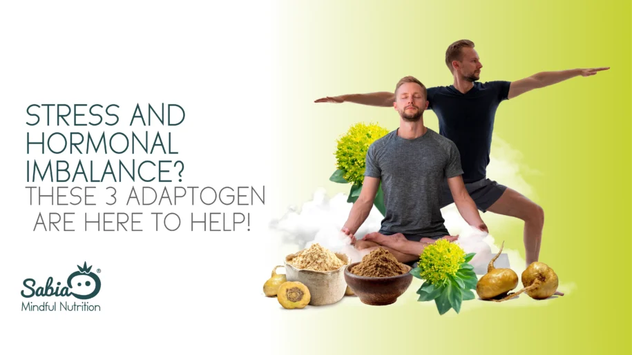 Adaptogens for Stress and Hormone Balance: Ashwagandha, Rhodiola, Maca Explained