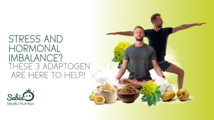 Adaptogens for Stress and Hormone Balance: Ashwagandha, Rhodiola, Maca Explained